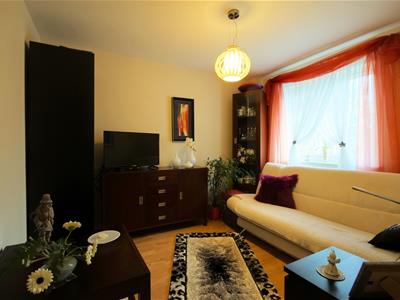Picture 7